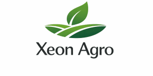 1768398807371-019bbcc7-df7f-7661-9073-dd7bedf74551