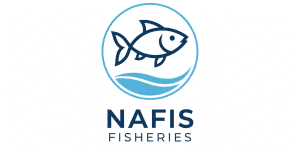 1768467871562-019bc0e6-14c3-71fb-bcb0-c16fc3cc7265